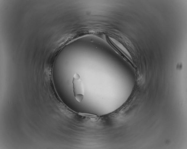 X0000091340329200708171416