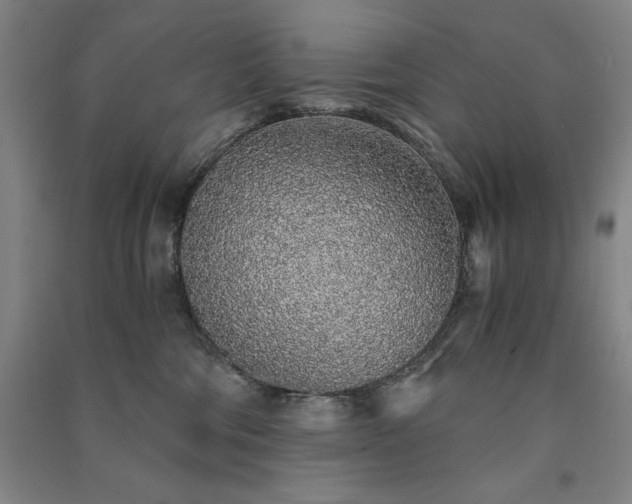 X0000091340330200708171416