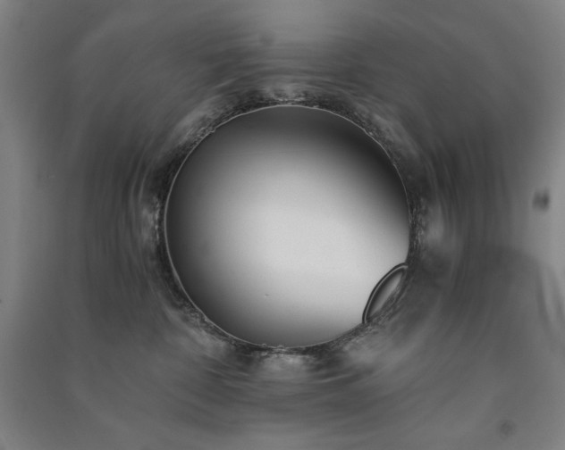 X0000091340332200708171416