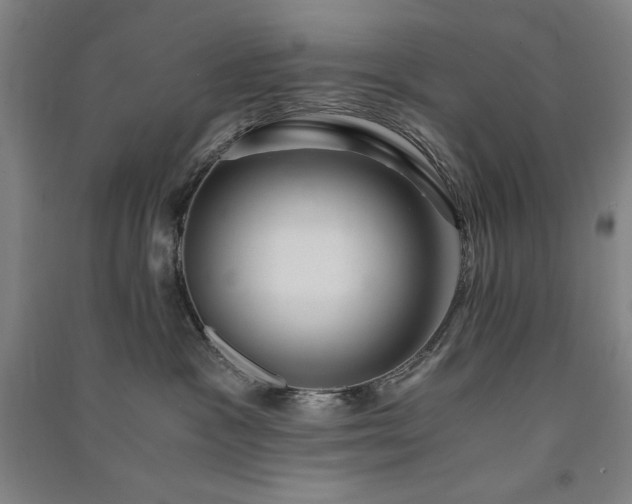 X0000091340333200708171416