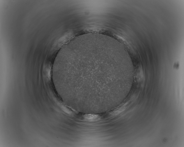 X0000091340334200708171416