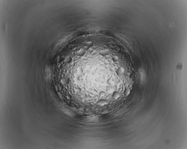 X0000091340335200708171416