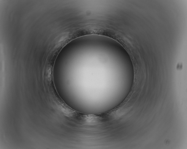 X0000091340336200708171416