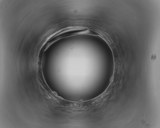 X0000091340338200708171415