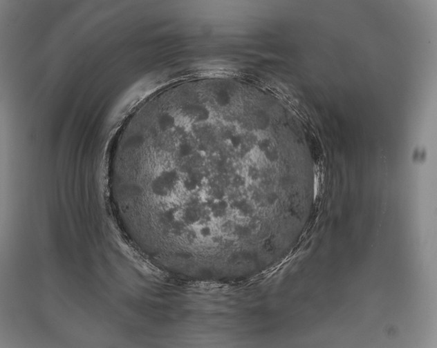 X0000091340339200708171415