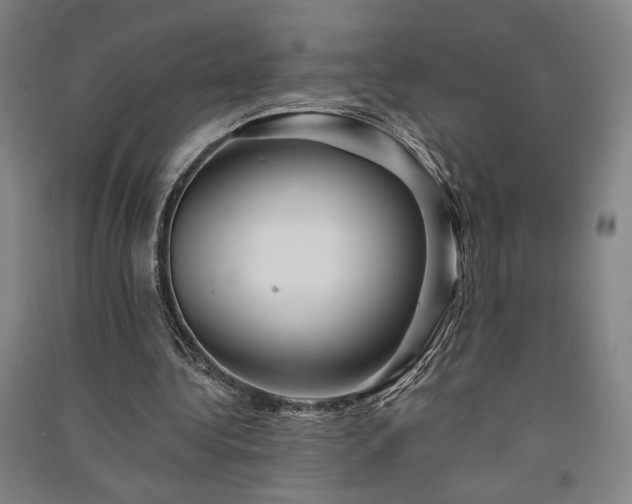 X0000091340340200708171415