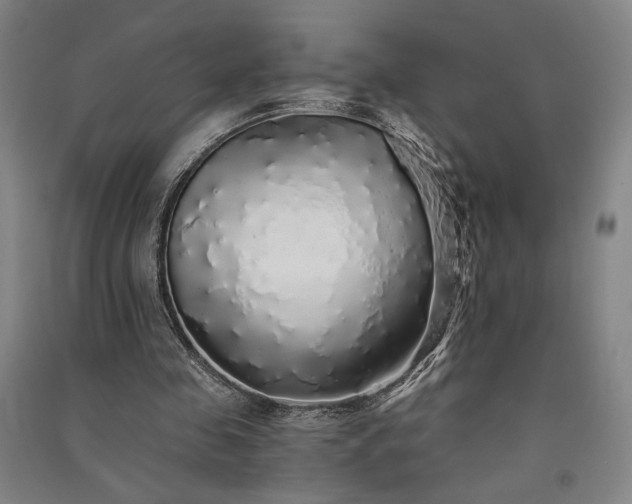 X0000091340341200708171415