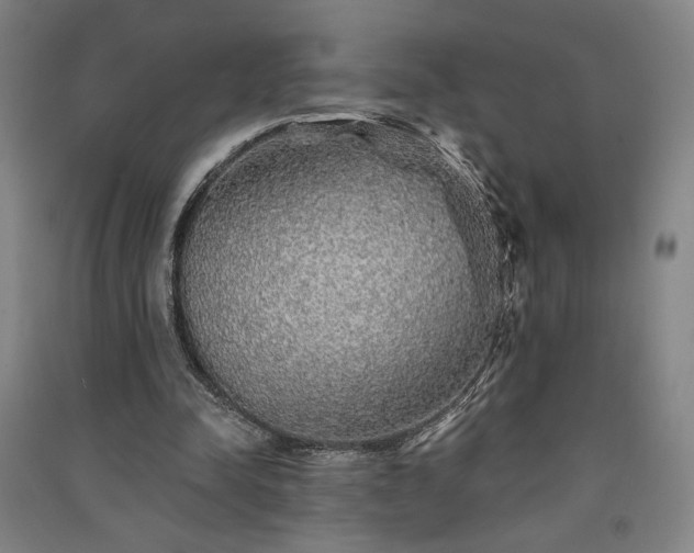 X0000091340342200708171415