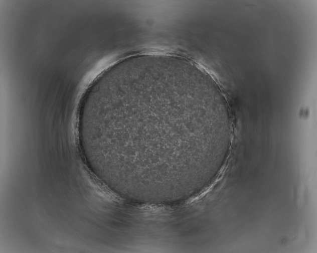 X0000091340343200708171415