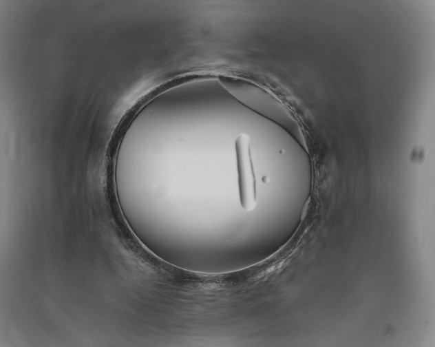 X0000091340344200708171415