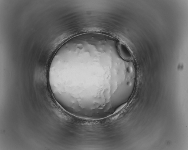 X0000091340345200708171415