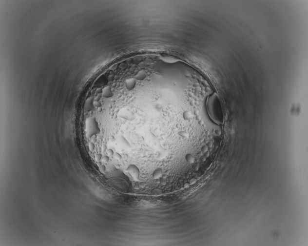 X0000091340346200708171415