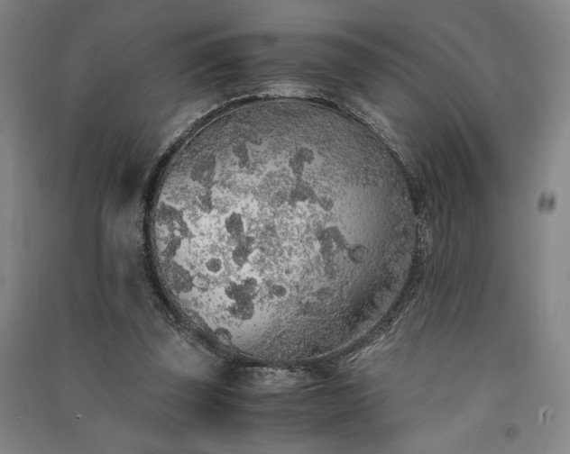 X0000091340347200708171415