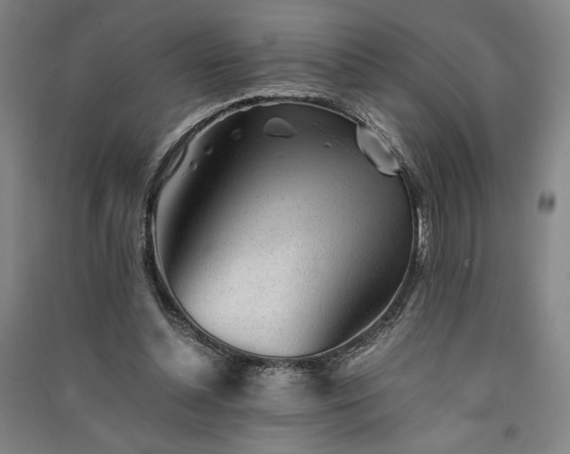 X0000091340348200708171415