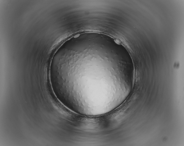 X0000091340349200708171415