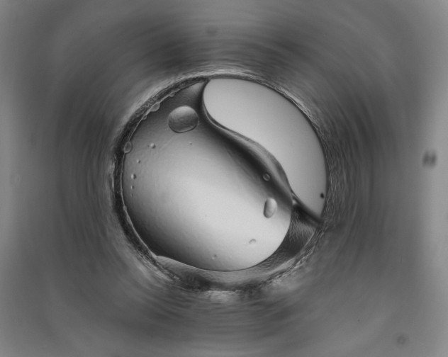 X0000091340350200708171415