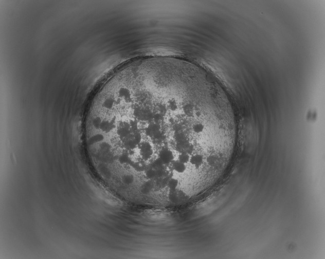 X0000091340351200708171415