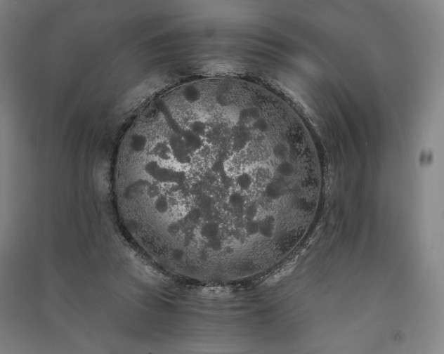 X0000091340353200708171415