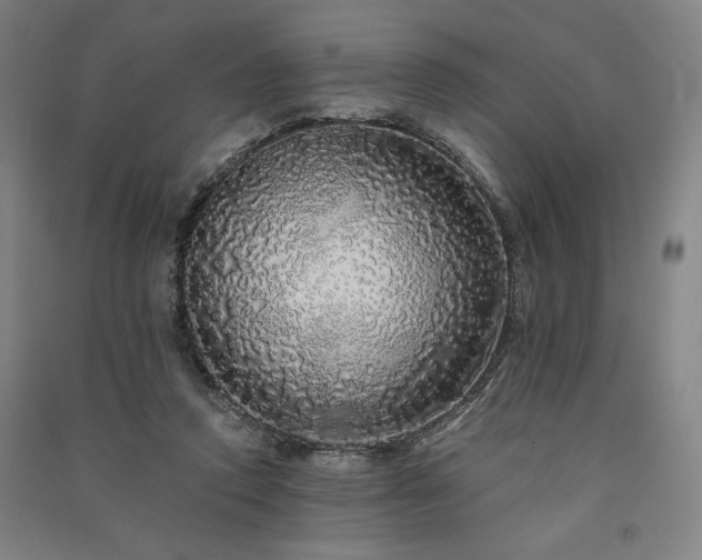 X0000091340354200708171415