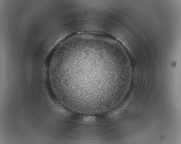 X0000091340355200708171415