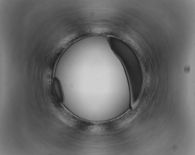 X0000091340356200708171415