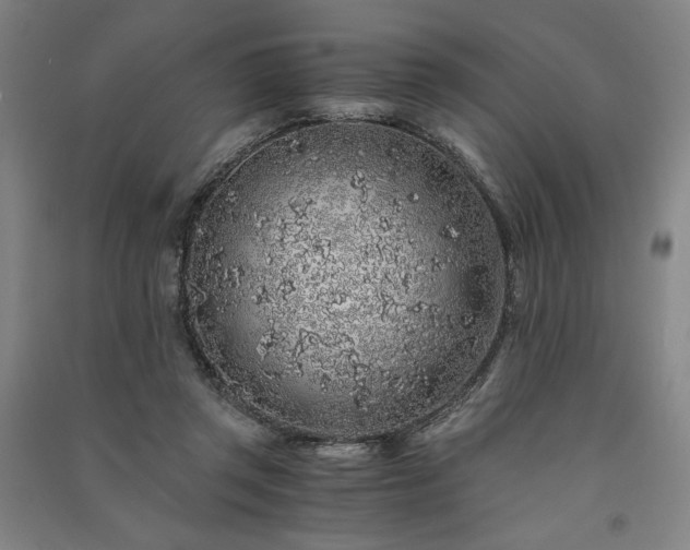 X0000091340357200708171415