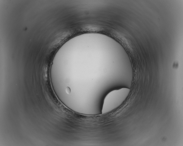 X0000091340358200708171415