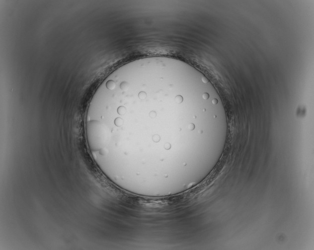 X0000091340359200708171415