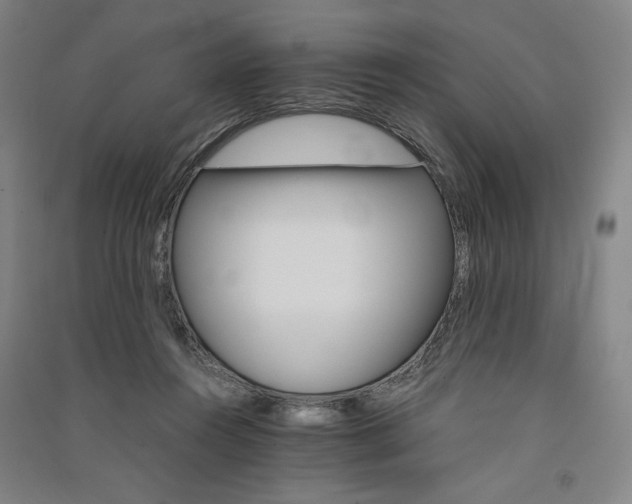 X0000091340360200708171415