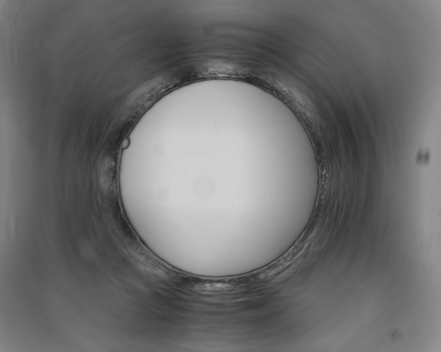 X0000091340361200708171415