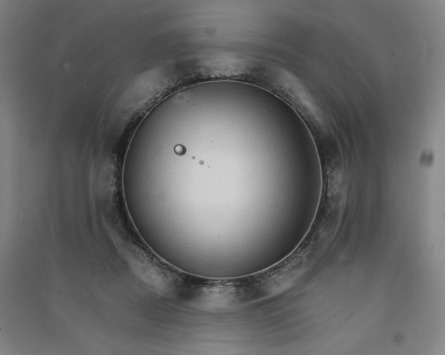 X0000091340362200708171415