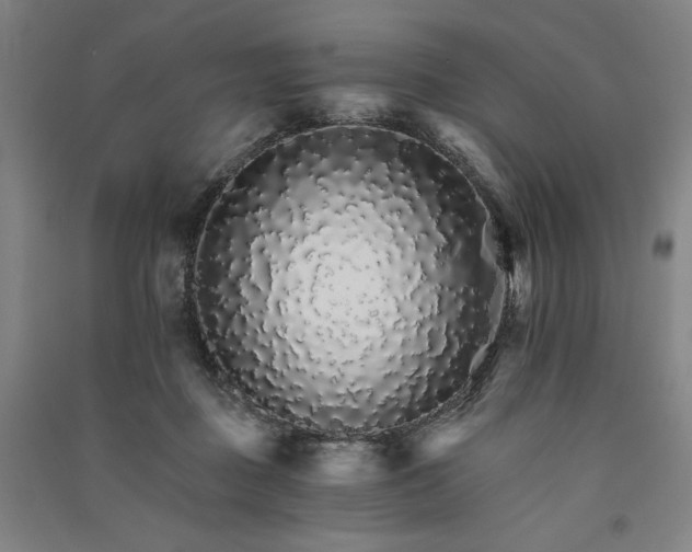 X0000091340363200708171415