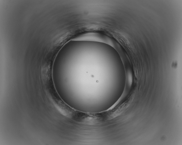 X0000091340364200708171415