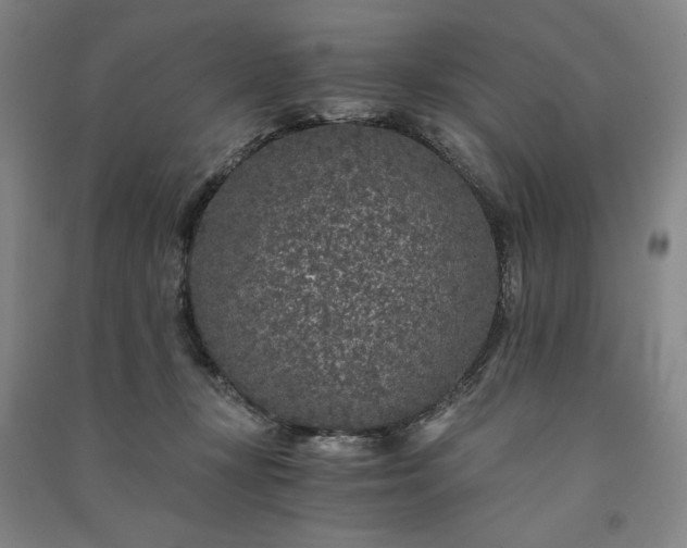 X0000091340367200708171415