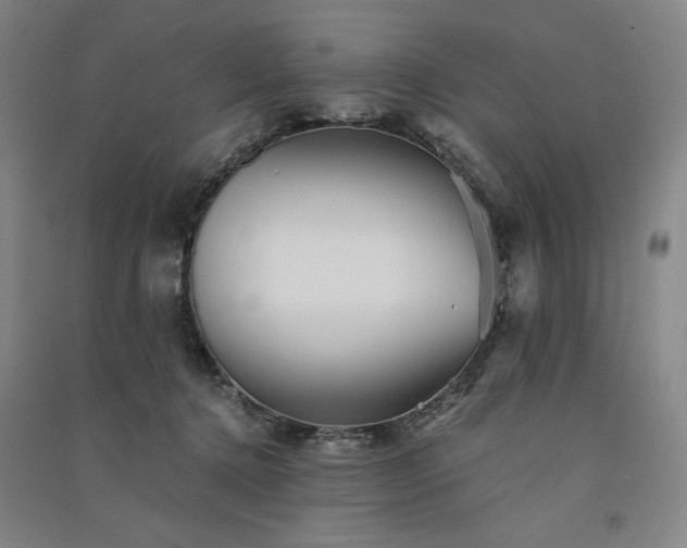 X0000091340368200708171415