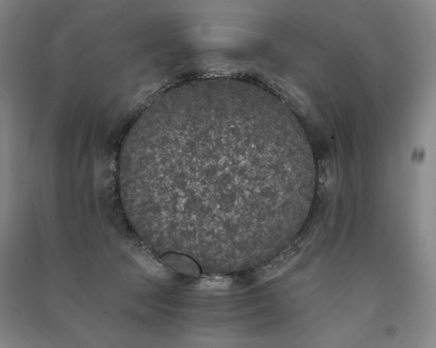 X0000091340369200708171415