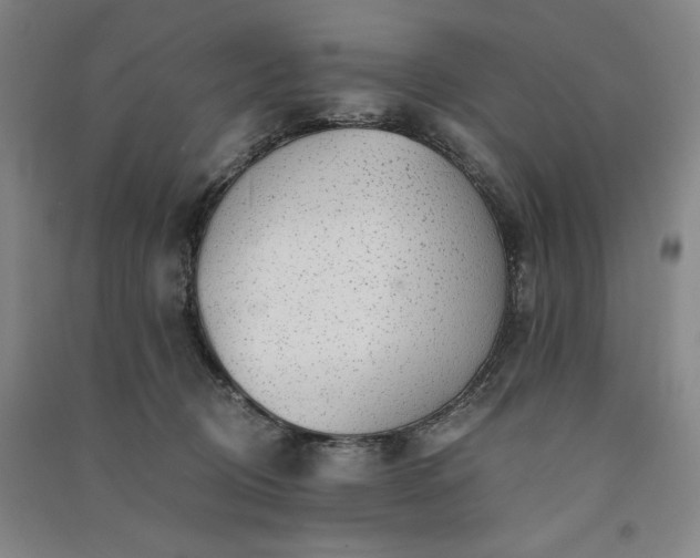 X0000091340370200708171415