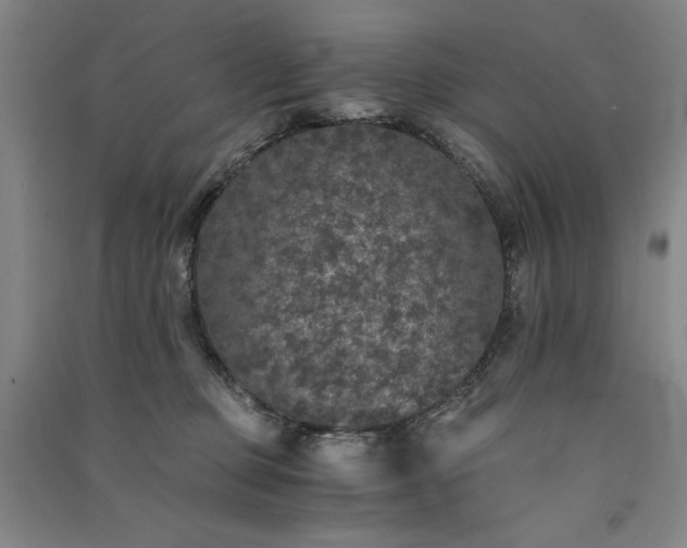 X0000091340373200708171415