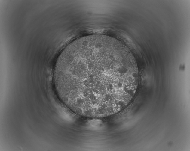 X0000091340374200708171415