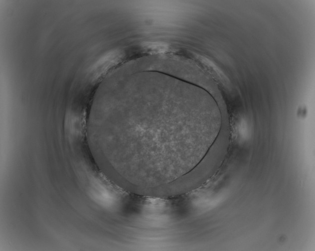 X0000091340376200708171415