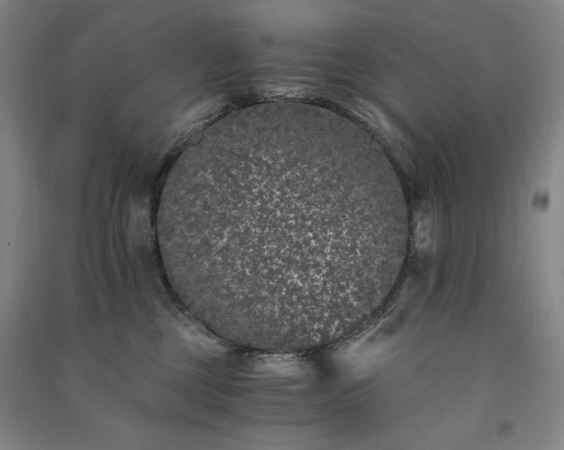 X0000091340377200708171415