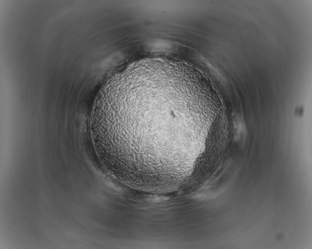 X0000091340379200708171415