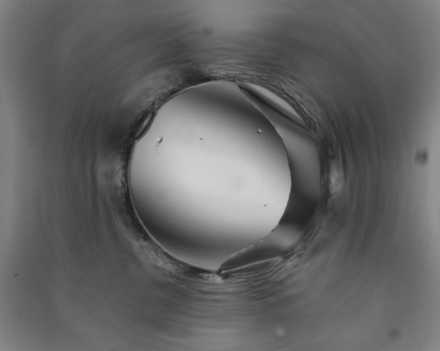 X0000091340380200708171416