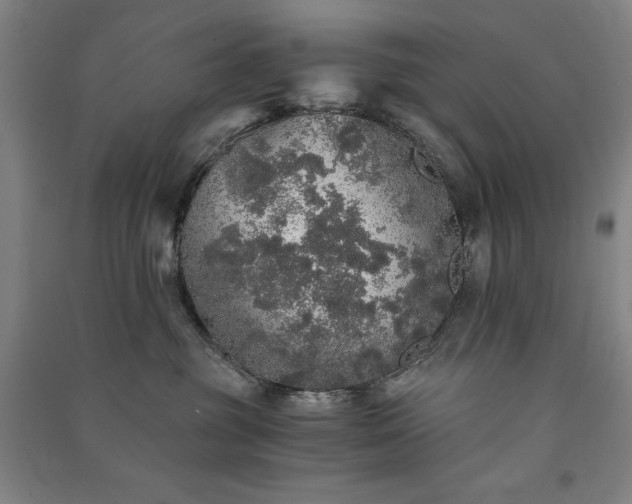 X0000091340381200708171416