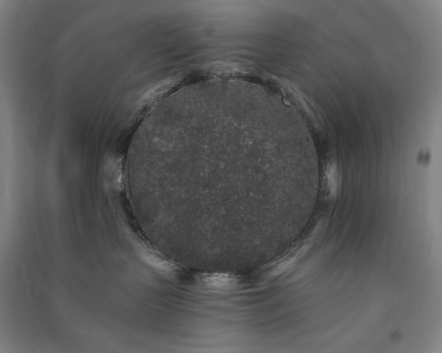 X0000091340383200708171416