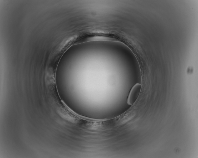 X0000091340384200708171416