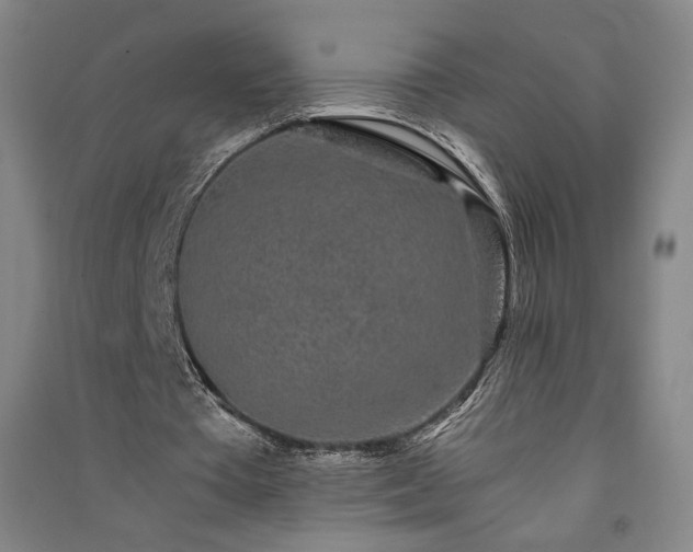 X0000091340385200708171415