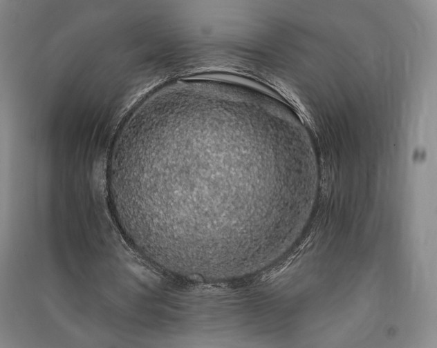 X0000091340386200708171415