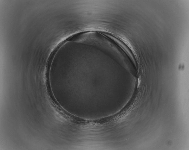 X0000091340387200708171415