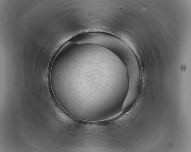 X0000091340389200708171415